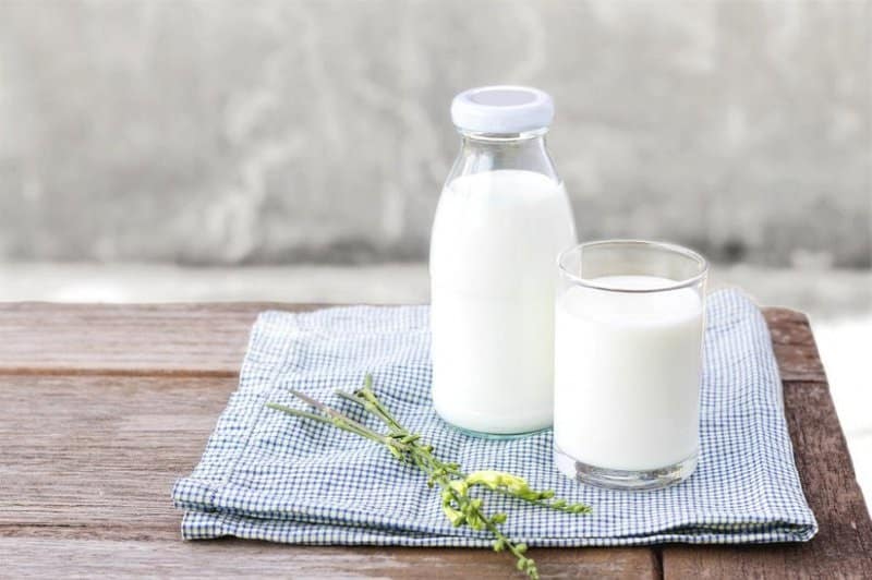 Mỡ máu cao nên uống những loại sữa gì?
